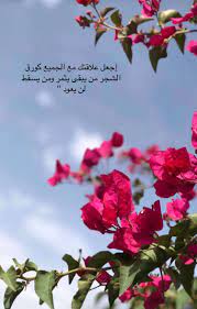 اجعل علاقاتك مع البشر من يبقى يثمر ومن سقط لا يعود cover photo quotes photo quotes arabic love quotes