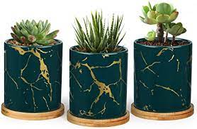 Wonderful designs to brighten up any. T4u Ceramic Plant Container Set With Saucer Green Cylinder Succulent Plant Pot For Christmas Window And Table Decoration Small White Plant Pot In Gold Veined For Cactus Bonsai Aloe Amazon Co Uk Garden