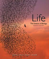 Biology How Life Works 3rd Edition Pdf Life The Science Of Biology Ebook Rental Biology Science Biology Biology Textbook