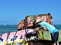 Image result for culebra beach tank