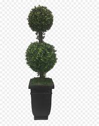 Topiary Hedge Shrub Bush Plant Freetoedit Topiary Hd Png Download Vhv Thai boxing silhouettes free vector. topiary hedge shrub bush plant