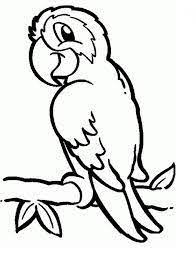 Resultado De Imagen Para Dibujo De Loro Para Colorear Bird Coloring Pages Animal Coloring Pages Cartoon Coloring Pages