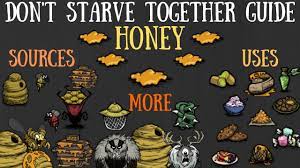Don't Starve Together Guide: Honey - Sources, Farms & More! - YouTube