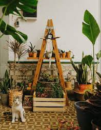 Tienda De Plantas En Montevideo Uruguay Plants Lovers Tiendas De Plantas Venta De Plantas Casa De 1930