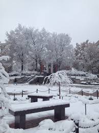 First Snow The University Of Akron In Akron Ohio November 2014 The University Of Akron University Of Akron Snow