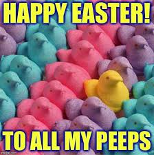 I dont celebrate easter but twt i wanted to make a funny vid to make you guys entertained during the. Pin On Laughs