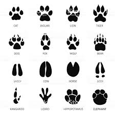 Animals Footprints White Background In 2020 Animal Footprints Pawprint Tattoo Cat Footprint
