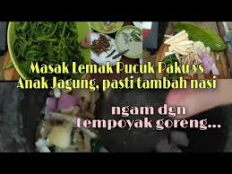 Pucuk paku dibersihkan dan diambil hanya daun2 dan batang yg lembut. Pucuk Paku