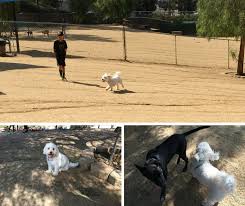 Enclosed dog parks near me. The Best Off Leash Dog Parks In And Around Los Angeles
