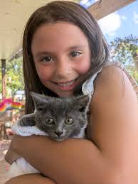 Free Kitten Adoption in Pitt County