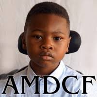 70+ "Moiwa" profiles