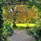 Forest Bathing at Denmans Garden, West Sussex event image