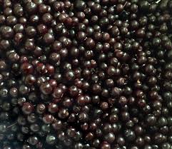 All items dispatched at the same time will normally be delivered in one delivery. Organic Fresh Frozen Elderberries Iqf Sambucus Nigra Bulk Elder Berry Ekowarehouse