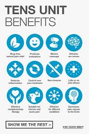 Pin On Healthy Living Plan For The Nervous System