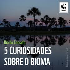 Questões sobre biodiversidade de concursos anteriores com gabarito para resolução grátis. Wwf Brasil On Twitter Diadocerrado 1 Aproximadamente Do Tamanho Da Alemanha Franca Inglaterra Italia E Espanha Combinados O Cerrado E A Nossa Savana Mais Antiga E Com Maior Biodiversidade No Total Contem 5