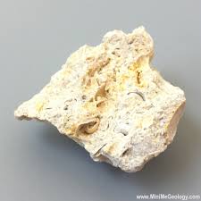 Limestone in the boundary, leadpoint, spirit, and deep lake quadrangles of northern stevens county by r. Fossiliferous Limestone Sedimentary Rock Mini Me Geology