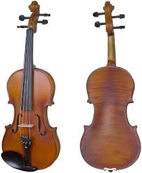 Image result for Viola eminii