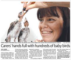 Plus, we have your news. Cairns Post Article Did You Know Far North Queensland Wildlife Rescue Association Inc