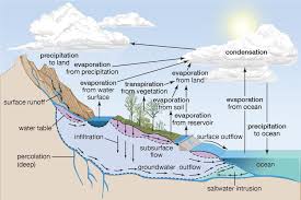 Evaporasi atau penguapan adalah perubahan bentuk suatu zat dari cair menjadi gas. Tahapan Siklus Hidrologi Halaman All Kompas Com