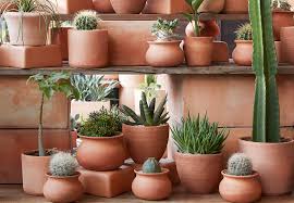 terra cotta pots and planters  flora