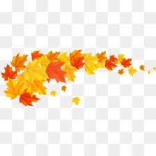 Maple Leaves In Autumn Maple Leaf Clipart Fall Autumn Png Transparent Clipart Image And Psd File For Free Download Maple Leaf Clipart Leaf Clipart Maple Leaf