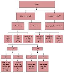 جمعية القرآن الكريم للتوجيه والإرشاد لبنان
