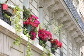 Instead of buying a fancy one, why not make your own using decoupage glue and pretty. Flower Pot Window Box Paris France Stock Photo Picture And Royalty Free Image Image 130363577
