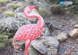 Primus Metal Pink Flamingo Forward Facing Garden Ornament Outdoor Sculpture Garden Ornaments Outdoor Sculpture Flamingo