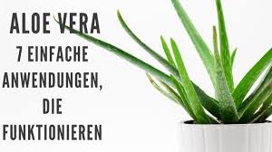 Aloe vera gilt seit jahrtausenden als heilpflanze mit außergewöhnlicher wirkkraft. Aloe Vera 7 Einfache Anwendungen Die Funktionieren Rawexotic