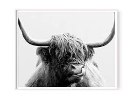 Free printable cow coloring pages for kids. Highland Cow Print Black And White Highland Cow Printable Highland Cow Wall Art Digital Print Farm Animal Print Farm Decor Bull Print Buffal Black White Art Collectibles Lifepharmafze Com