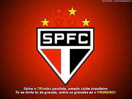 Resultado de imagem para imagem são paulo png