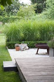 Hoge Grassen Gras Kiezel Houten Deck Minimalist Garden Garden Garden Types