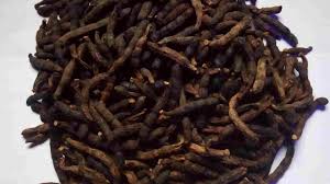 Epingle Sur Aphrodisiaque Pour Femme