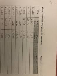 Codon worksheet answer key pdf#2331818. Solved Gene Expression Worksheet 4 Anticodons Name Dna Chegg Com