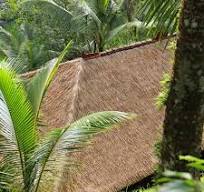 Plastic Thatch Roofing And Synthetic Thatch Roof Experts