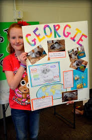 The Headleys House 4h Pet Poster Project Cool Science Projects Animal Projects Science Fair