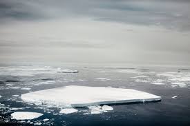 How High Will Sea Levels Rise As Antarcticas Ice Melts Time