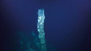 New Undersea Maps Lead To Hydrothermal Vent And Species Discoveries Schmidt Ocean Institute Gulf Of California Ocean Monterey Bay Aquarium