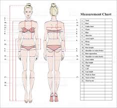 Vector Illustration Body Measurement Chart Measurement