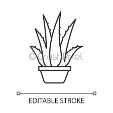 The green leaf naturals aloe vera gel has 99.75 percent aloe vera gel and is free of chemicals or thickeners, canes explains. Houseplant Pixel Perfect Linear Icon Potted Aloe Vera Cactus Sprouts Stock Vector Crushpixel