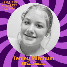 ⭐️Meet the Cast of SHREK THE MUSICAL!⭐️ Noah Flatt in the ENSEMBLE. 🎟Get  your tickets now at historicstartheater.com!🎟