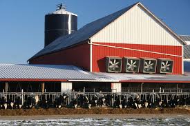 Receive free shipping with your barnes & noble membership. Farm Building Livestock Barns And Shelters Britannica