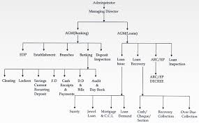 Organisation Chart The Pondicherry Co Operative Urban Bank