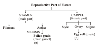 How Do Organisms Reproduce Class 10 Notes Science