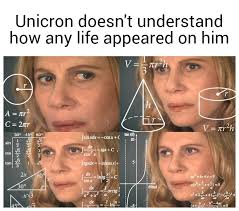 hallucinateonpaperspines