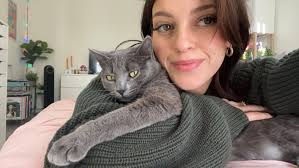 Looking for June 2 Move-in in Dorchester, MA