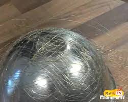 Epingle Sur Dome Caramel