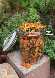 Common Garden Herbs For A Skin Care Apothecary Garden Therapy Herbal Oil Herbalism Growing Herbs In Pots