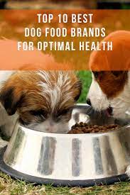 Our 10 Favorit Dog Food Brands Homemade Food For Dogs Dog Food Recipes Best Dog Food Brands Dog Food Brands