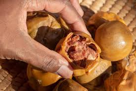 Image result for Vangueria apiculata